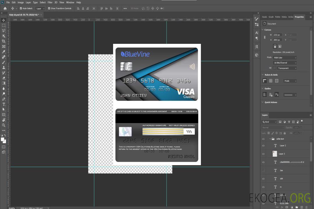 Carte classique visa bancaire BlueVine USA Californie template Carte classique visa bancaire BlueVine USA Californie template